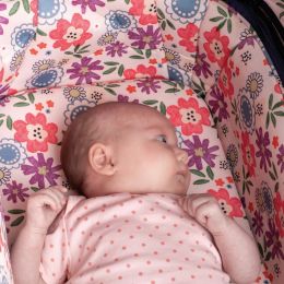 Cosatto Wow Continental Carrycot Dalloway