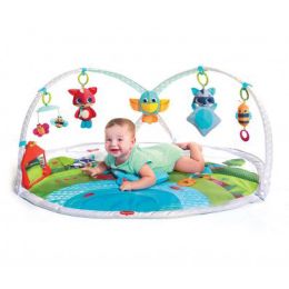 Tiny Love Dynamic® Gymini Meadow Days™